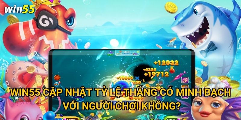 Win55 cập nhật tỷ lệ thắng có minh bạch với người chơi không?